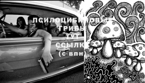 дурь Баксан