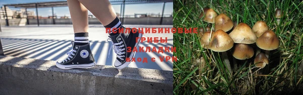 дурь Балабаново