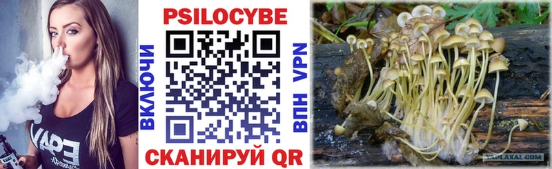 Галлюциногенные грибы GOLDEN TEACHER  где можно купить наркотик  Обоянь 