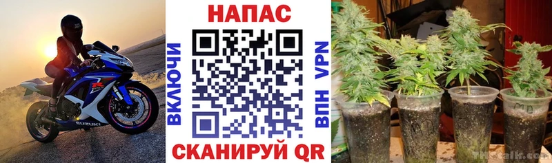 omg как войти  купить закладку  Обоянь  Марихуана планчик 